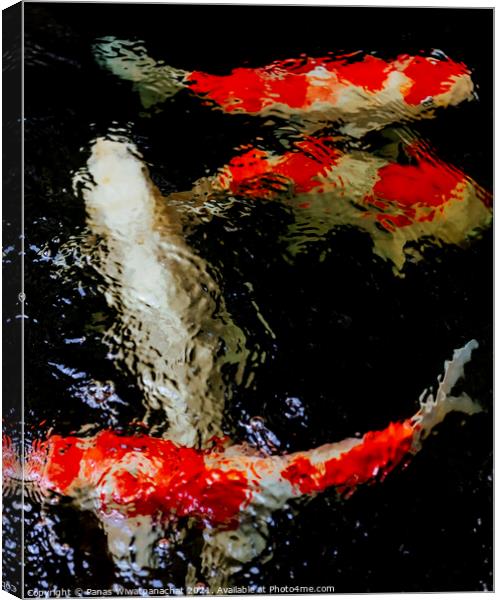 Fish in the Koi Pond Canvas Print by Panas Wiwatpanachat