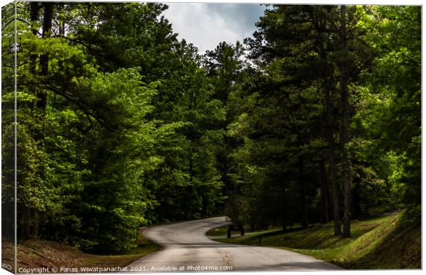 Road to Greenery Canvas Print by Panas Wiwatpanachat