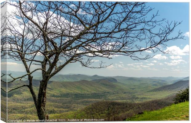 Mountains and Tree Canvas Print by Panas Wiwatpanachat