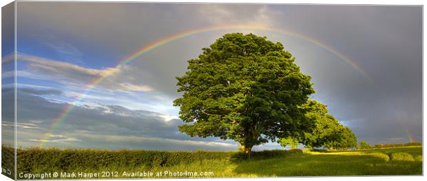 Rainbow over Oak tree. Canvas Print by Mark Harper