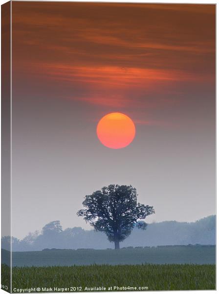 A perfect alignment. Canvas Print by Mark Harper