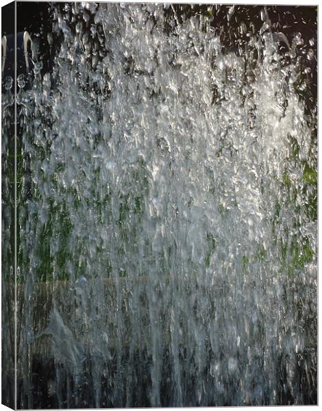 Water Fountain Canvas Print by Leigh Taylor
