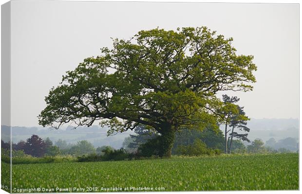 My Favorite Tree Canvas Print by Dean Powell Perry