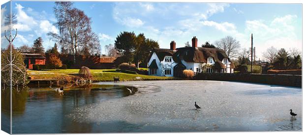 Thatched Cottage and Pond Canvas Print by paul lewis