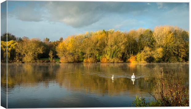  Autumn Lake and Swans Canvas Print by paul lewis