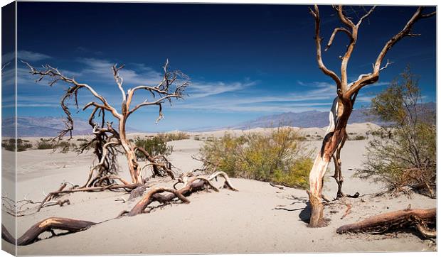  Death Valley California Canvas Print by paul lewis