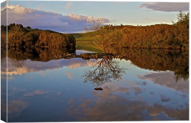 Water Reflecting Tree Canvas Print by Paul Kyprianou