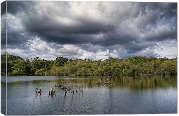 Calm Before The Storm. Canvas Print by Louise Wagstaff