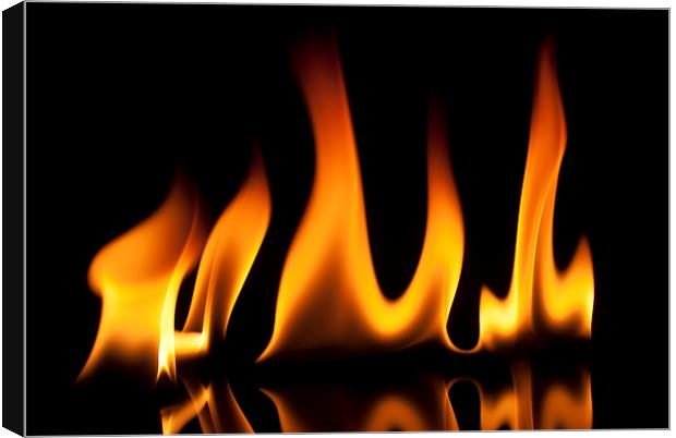 Flame 4 Canvas Print by Louise Wagstaff
