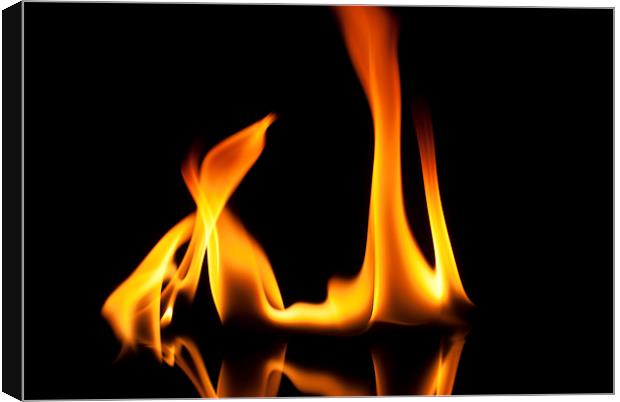 Flame 6 Canvas Print by Louise Wagstaff