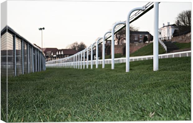 Chester Racecourse Canvas Print by Ben Welsh