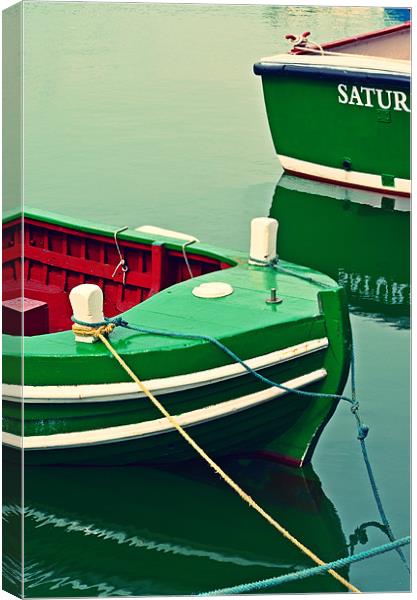 Green Peace Canvas Print by Ben Welsh