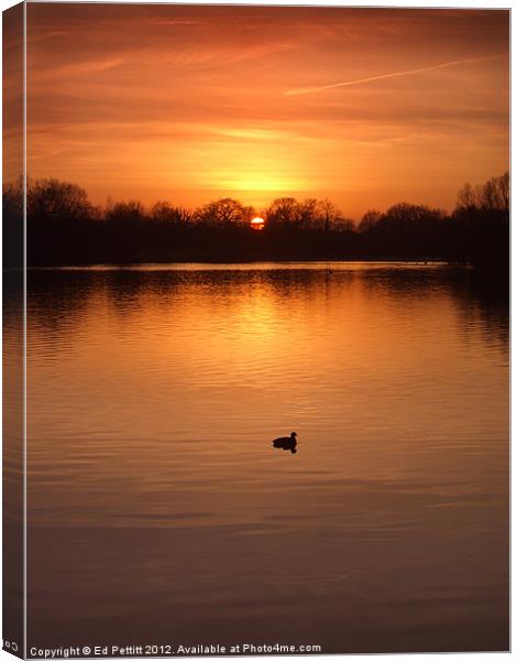 Solitude on the Lake Canvas Print by Ed Pettitt