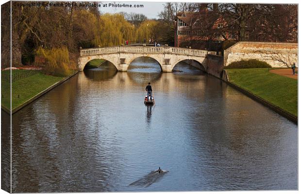  Punting on the Cam Canvas Print by Ed Pettitt