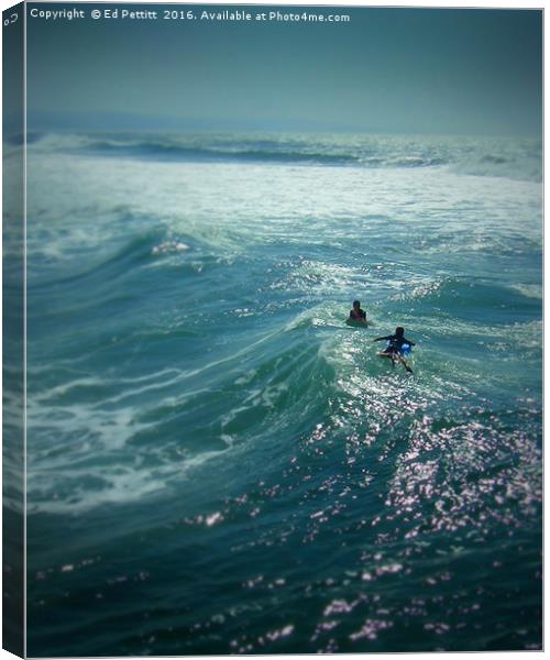 South African Surfers Canvas Print by Ed Pettitt
