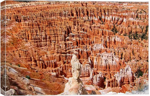 Bryce Canyon Canvas Print by World Images