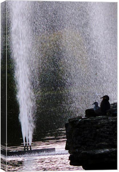 Shower in St James Park Canvas Print by Reg Dobson
