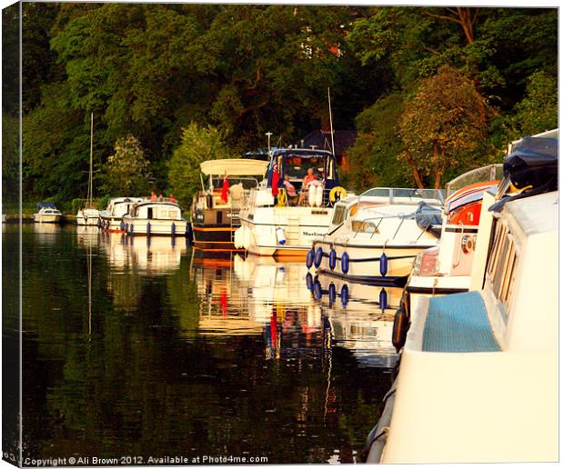Moored for the night Canvas Print by Ali Brown