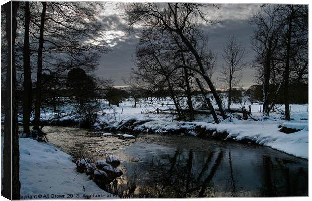 Cold & Crisp and even Canvas Print by Ali Brown