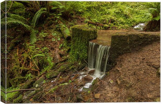 Parkin Clough Waterfall Canvas Print by Jonathan Swetnam