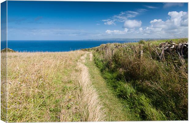 Port Quin Bay Coastal Path Canvas Print by Jonathan Swetnam