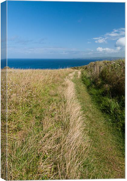 Port Quin Bay Coastal Path Canvas Print by Jonathan Swetnam