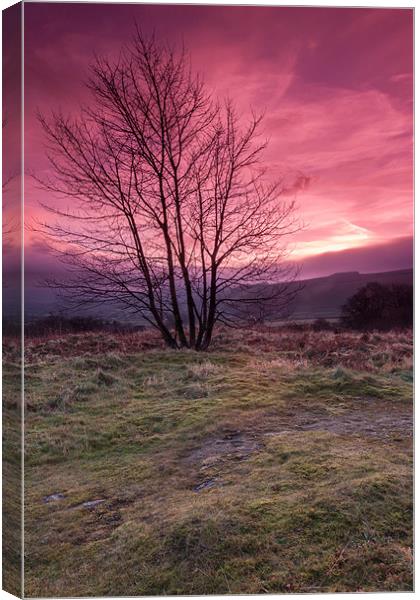 Red Sky in the Morning Canvas Print by Jonathan Swetnam