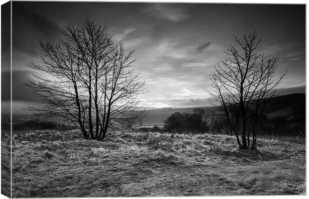 Hope Valley Black and White Canvas Print by Jonathan Swetnam