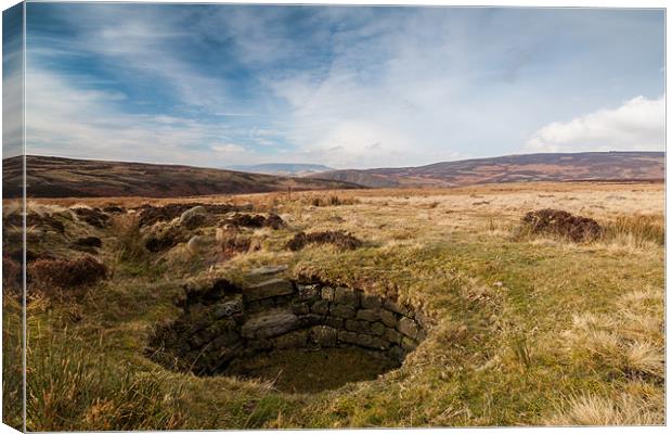 Grouse Butt on Moscar Moor Canvas Print by Jonathan Swetnam