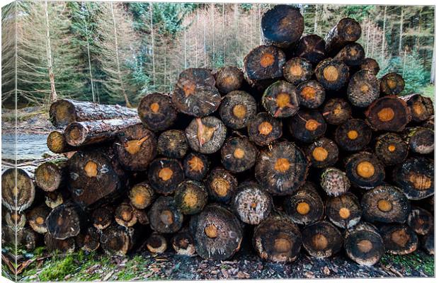 Pile of Logs Canvas Print by Jonathan Swetnam