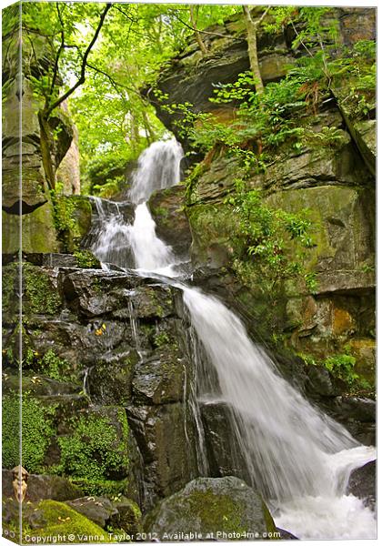 Lumsdale Valley Waterfall Canvas Print by Vanna Taylor