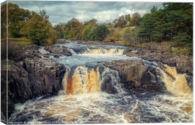 Low Force Waterfall Canvas Print by Gary Richardson