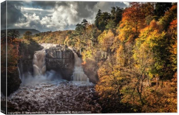 High Force Waterfall Canvas Print by Gary Richardson