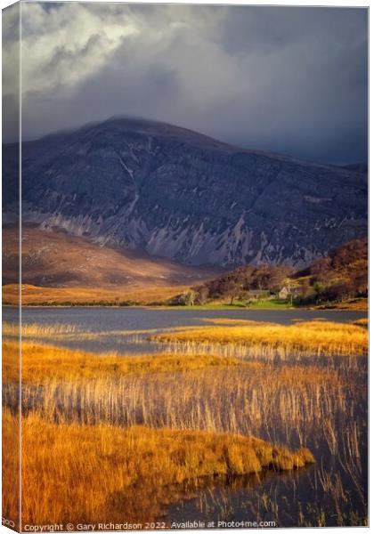 Autumn Colours at Loch Stack Canvas Print by Gary Richardson