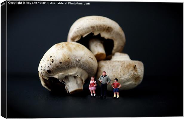 The borrowers and the mushrooms Canvas Print by Roy Evans