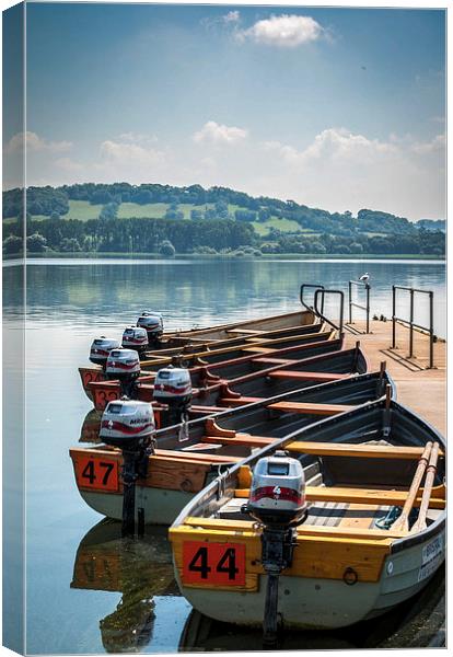 Lake on a summers day Canvas Print by Judith Parkyn