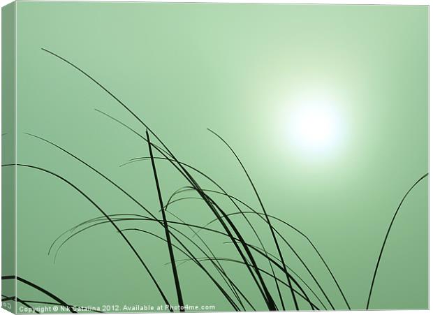 Misty Morning Sunrise Canvas Print by Nik Catalina