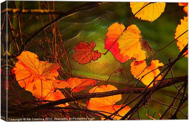 Autumn Leaves at Sunset Canvas Print by Nik Catalina