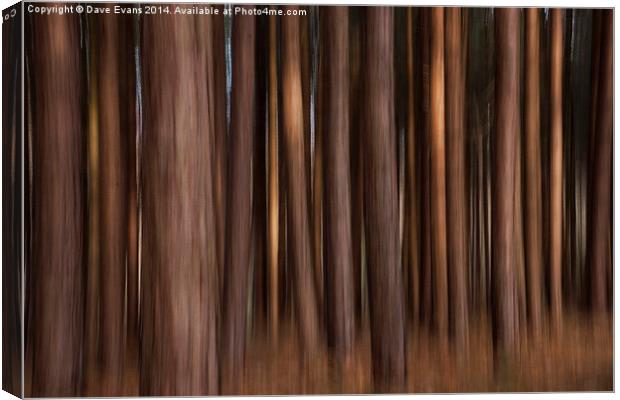Abstract Trees Canvas Print by Dave Evans
