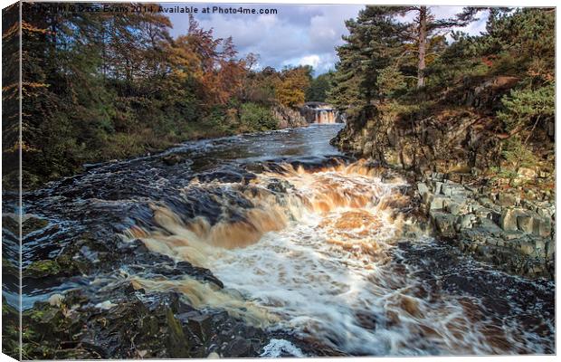  Low Force Waterfalls Canvas Print by Dave Evans