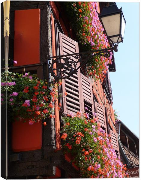 Alsace, France, window box flowers Canvas Print by Christopher Mullard
