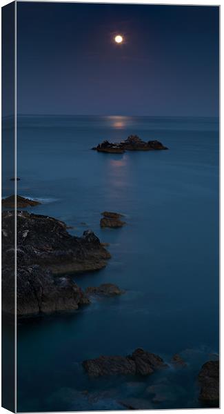 Start Point Moon 2 Canvas Print by Ashley Chaplin