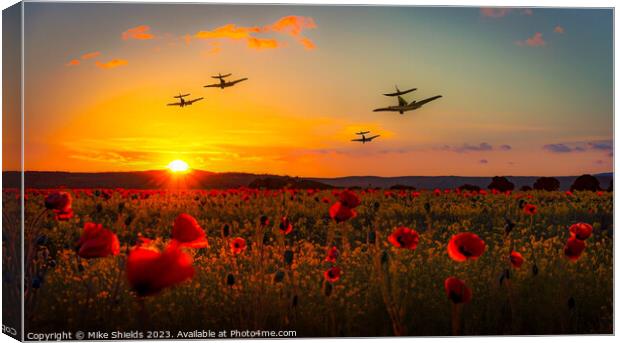 Flight Tribute over Poppy Meadows Canvas Print by Mike Shields