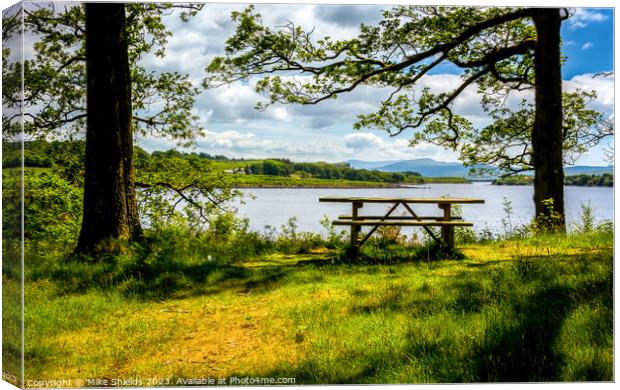 A Stunning Viewpoint Canvas Print by Mike Shields