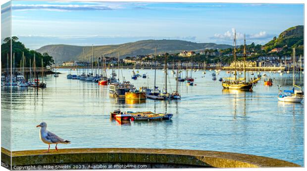 Conwy Harbour Wales Canvas Print by Mike Shields