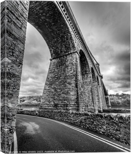 Road under the Bridge Canvas Print by Mike Shields