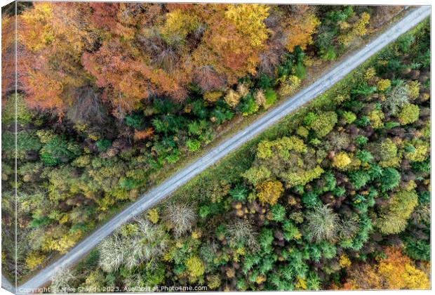 Top down Forest Road Canvas Print by Mike Shields