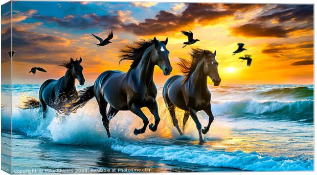 The Black Stallions Canvas Print by Mike Shields
