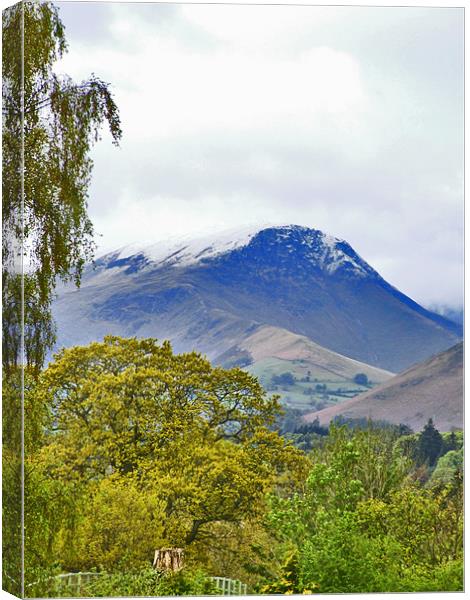 View towards Snow Capped Catbells  Lake district Canvas Print by philip clarke
