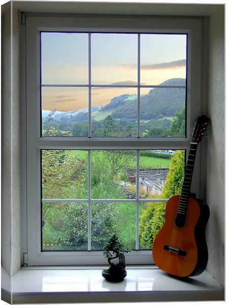 Bonsai and Spanish Guitar Window Canvas Print by philip clarke